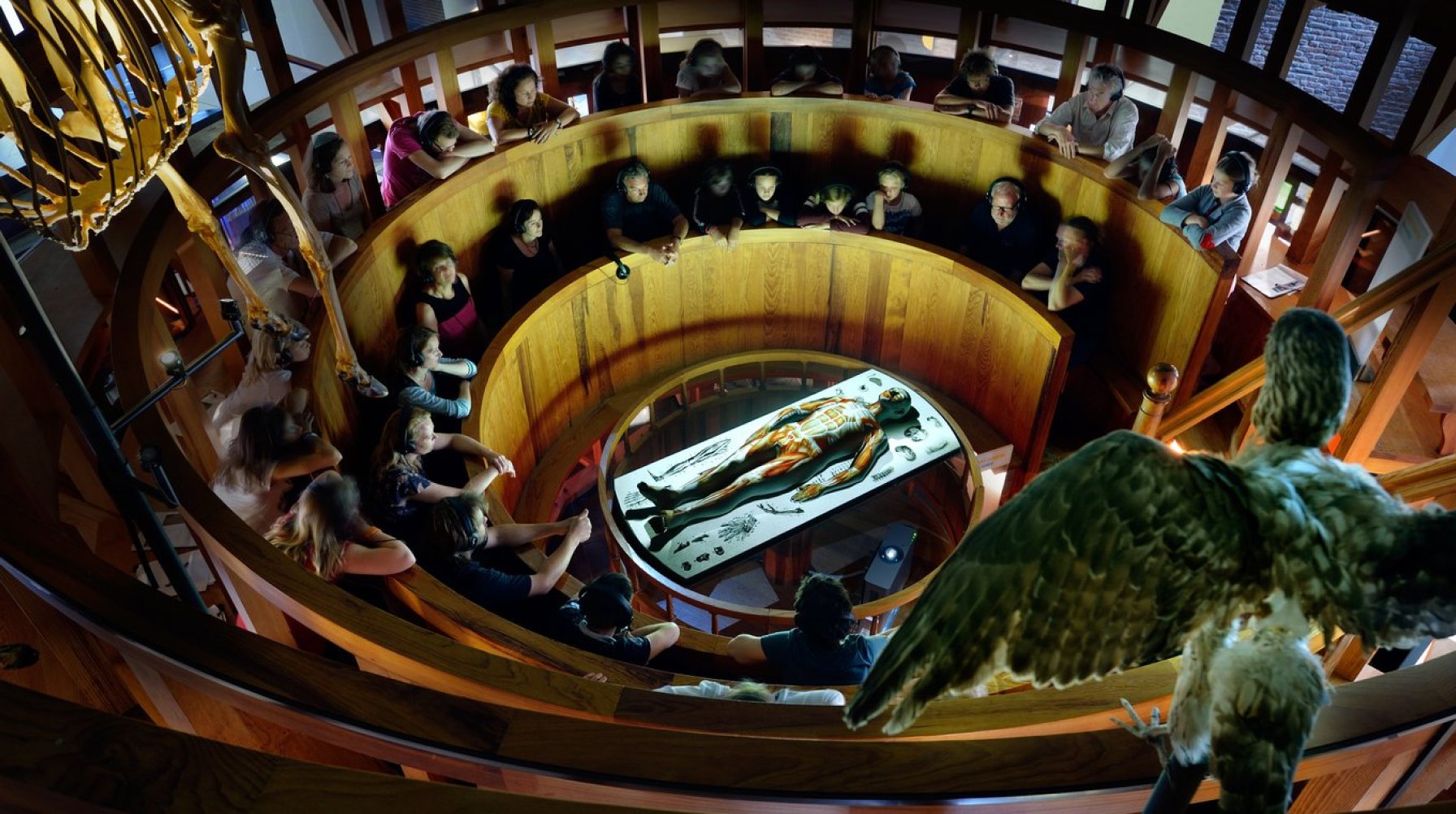 🏛️ 국립 부르하버 박물관(레이크스뮈세윔 부르하버)